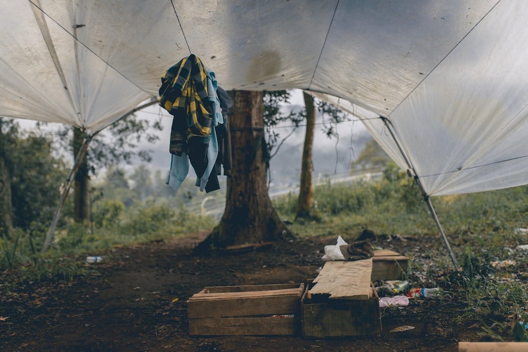 Everything You Need to Know About Tarp Regulations and Compliance - Tarps America