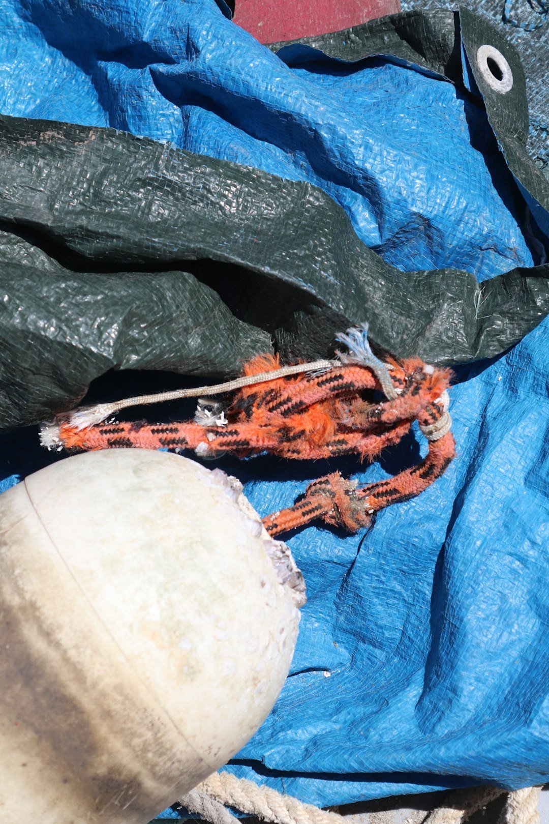 Top Mistakes to Avoid When Using Industrial Tarps - Tarps America