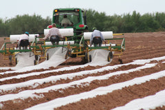 Agribon Row Covers Frost & Insect Protection - Tarps America