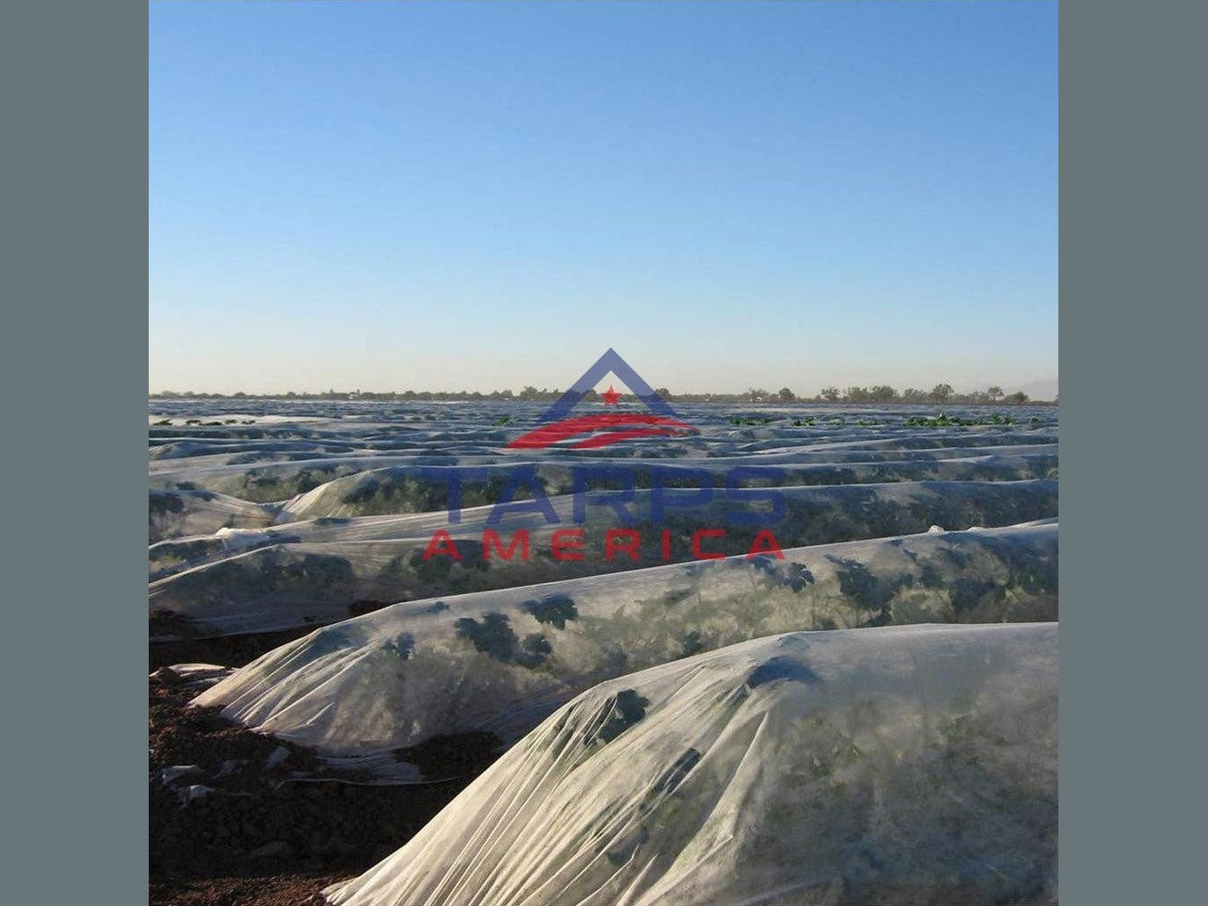 Agribon Row Covers Frost & Insect Protection - Tarps America