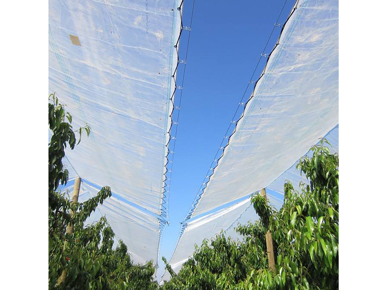Cannabis Tarps - Tarps America