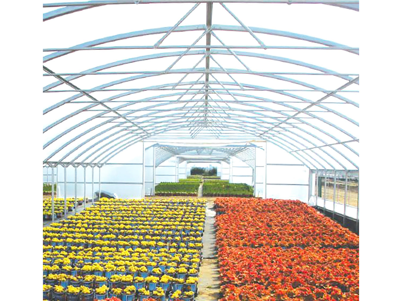 Greenhouse Covers - Tarps America
