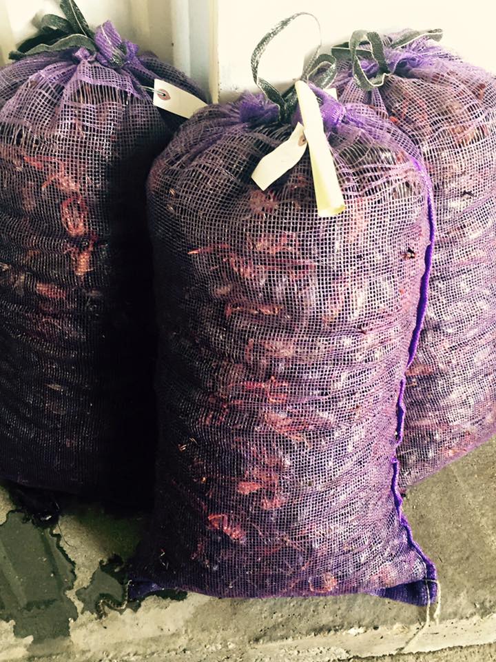Mesh Bags - Tarps America