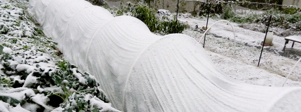 Agribon AG-19 Frost Protection Floating Row Cover