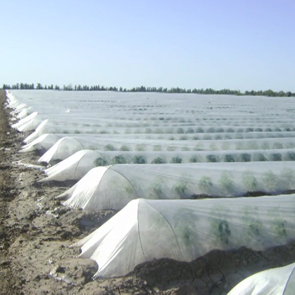 Agribon AG-19 Frost Protection Floating Row Cover