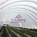 Solarig Classic 156 Woven Plastic Greenhouse Cover/Film - Tarps America