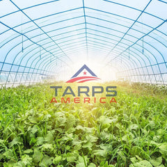 Sollux Polyethylene Plastic Greenhouse Cover / Film - Tarps America